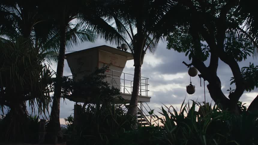 A tower is displayed in a tropical area