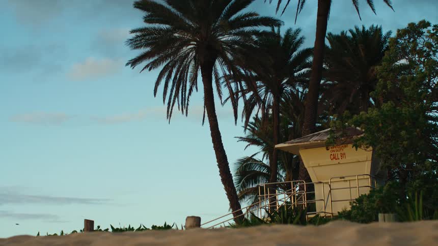 A small hut by palm trees on a beach