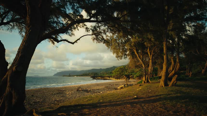 Ocean waves rolling in to the shore