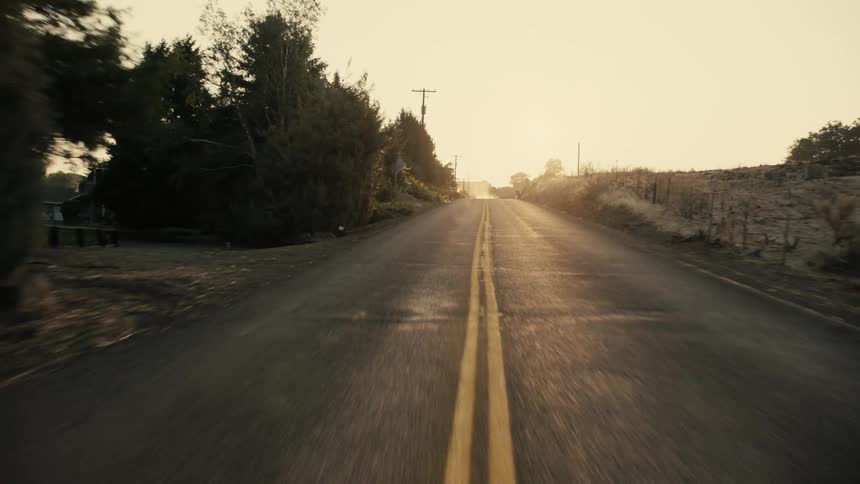 Rural road with double yellow lines runs between the trees and a field