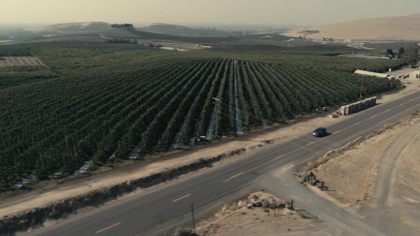 Car travels on the highway next to a vineyard as mountains sit in the distance