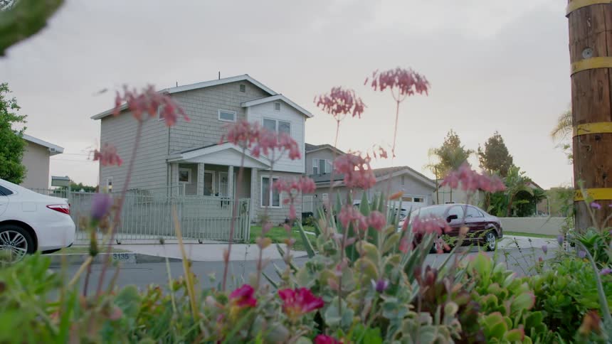 Neighborhood street with cars parked on the roadside in front of houses and a flower garden near the road