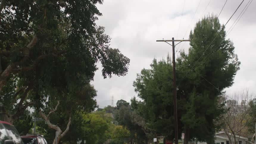 Traveling on a neighborhood street lines with trees and parked cars