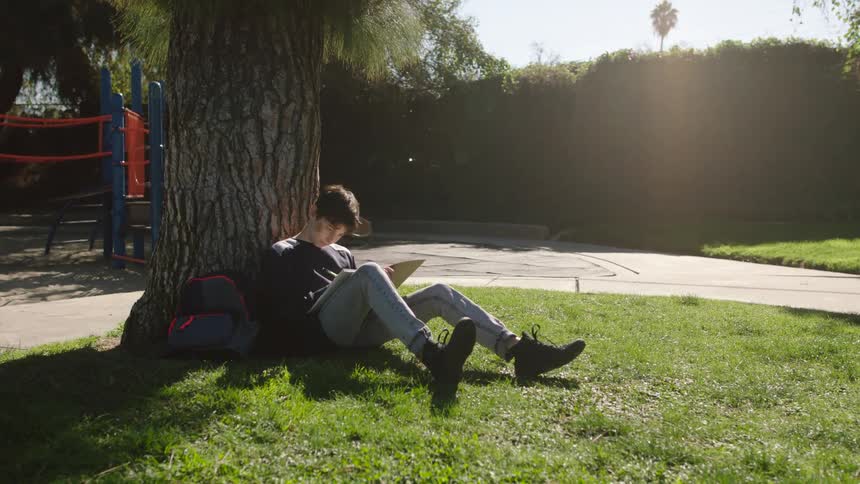 A boy is sitting in the grass and leaning against a tree in a park writing in a book
