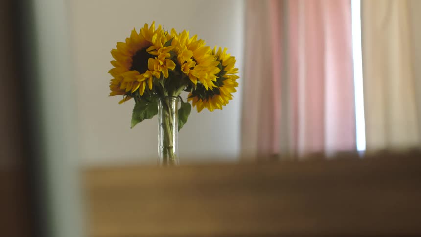 Sunflowers are in a vase on a table inside a home