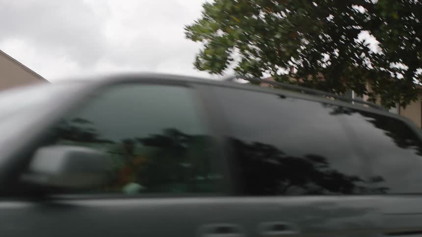 Birds fly over the houses in a neighborhood with cars parked in front of them