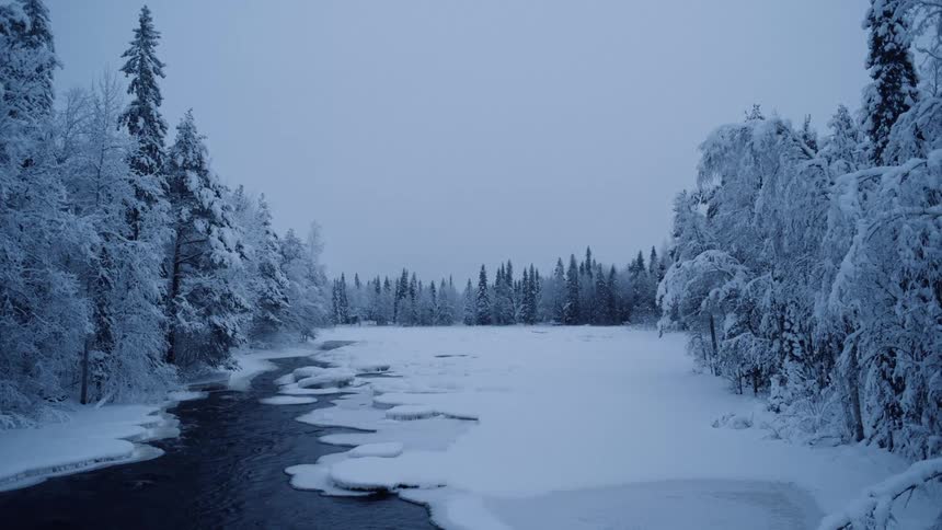 Creek runs between the snow covered trees and the snow covered land on a winter day