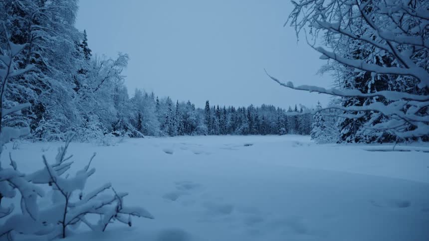 wide shot of a frozen snow covered lake with a forest treeline surrounding it