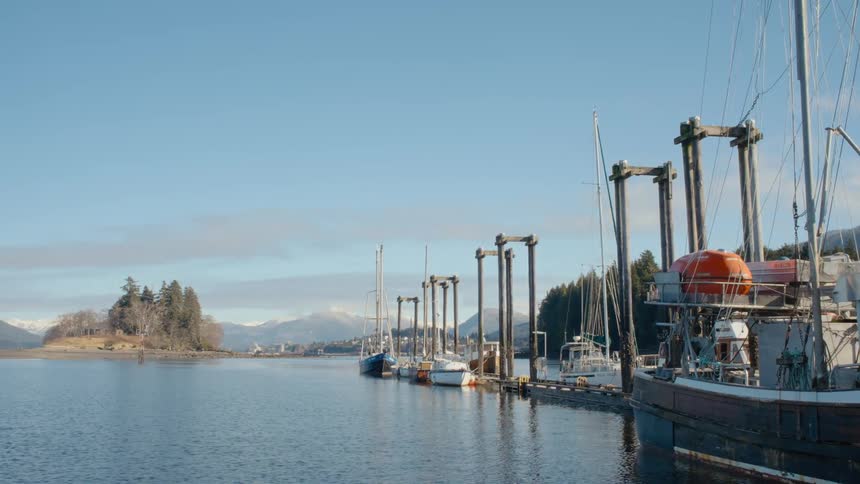 Boats sit docked in a row along a marina