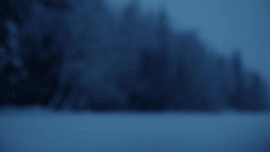 snowflakes falling in focus in foreground with blurry forest in background