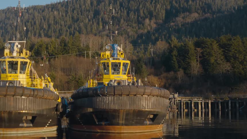 Large boats sit docked in the sea along the coast of a small town