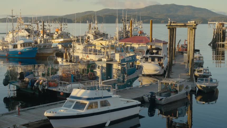 Boats of varying sizes sit docked along a wooden pier