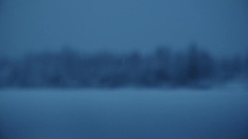 snowflakes falling in focus with a treeline out of focus