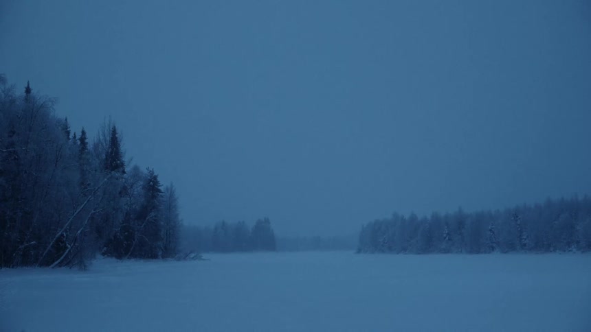 Snow is falling on open land surrounded by forests of snow covered trees