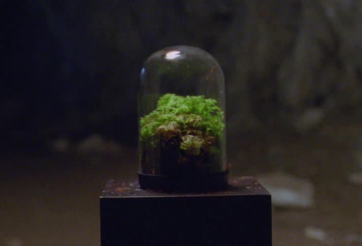 A woman lifts a sheet off a terrarium sitting on a table along a river bank