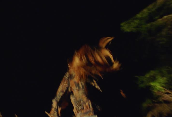 Woman with brown hair blouse and jeans runs in the forest at night