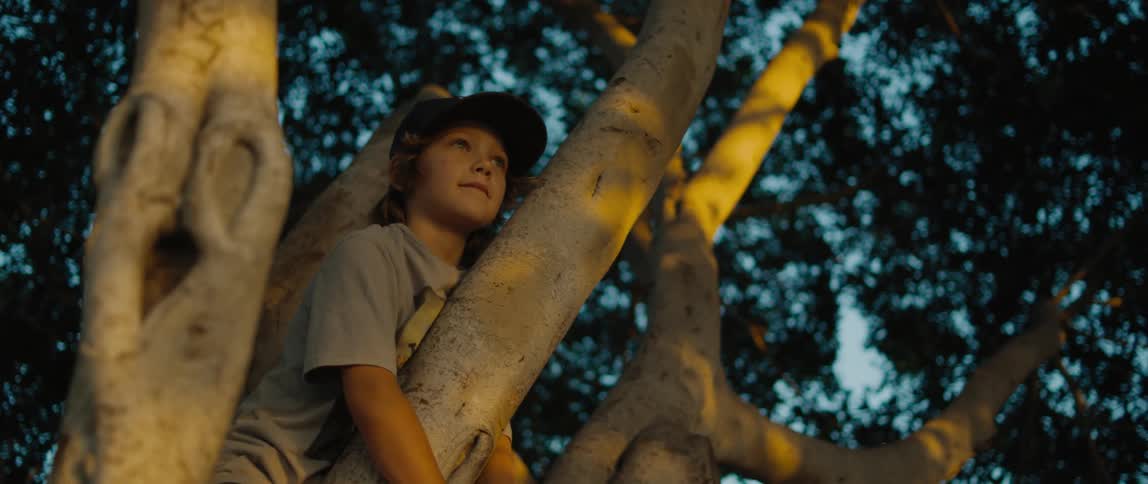 Young boy wearing a hat smiles as he sits in a tree