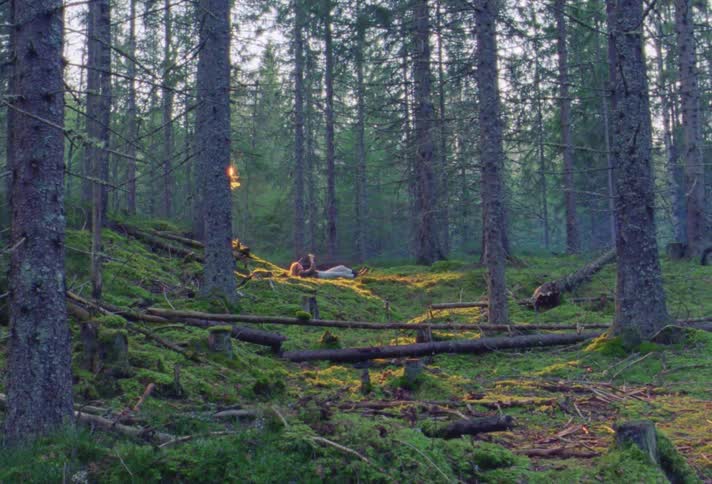 The sun shines on a woman lying down in a forest and she sits up and looks around