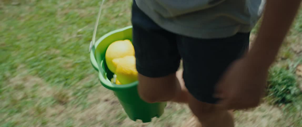 Person walks across lawn carrying large lemons in a green bucket