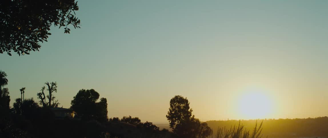 Silhouettes of trees as the sun shines brightly in the distance