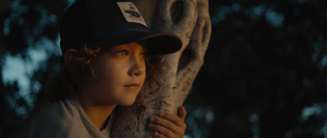 A boy clings to the trunk of a tree he has climbed looking anxious and fearful