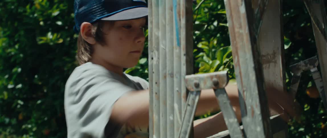 A boy wearing a baseball cap carries a ladder near a trees and climbs up