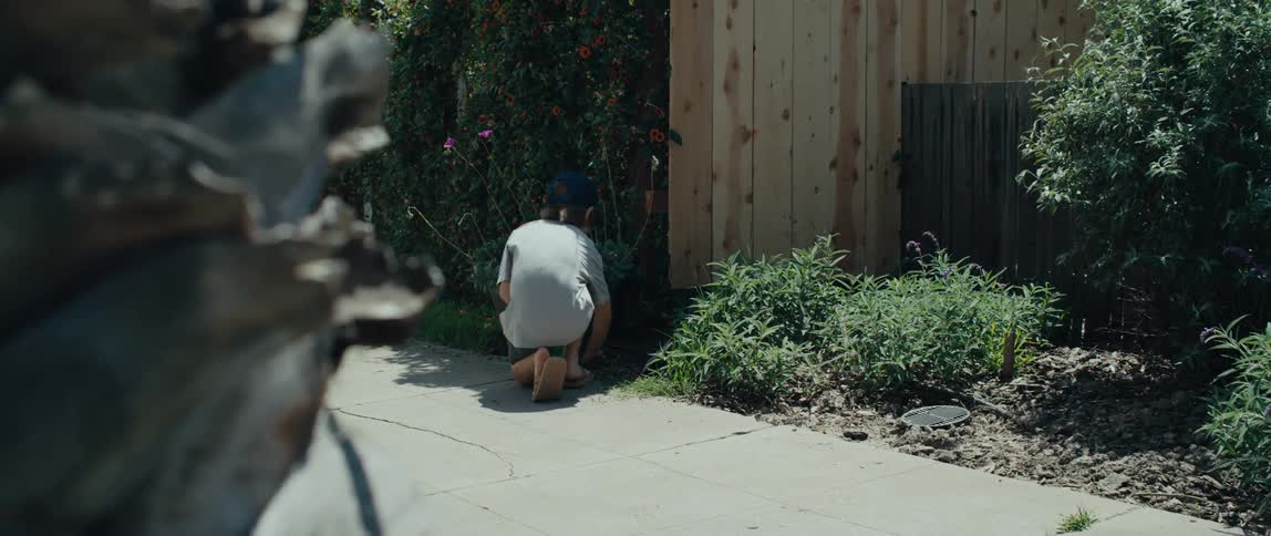 Young boy carries a pail of lemons to a spot near a garden and sets it down with a sign advertising that the lemons are free