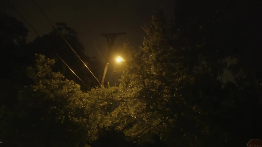 Power lines are above these trees at night