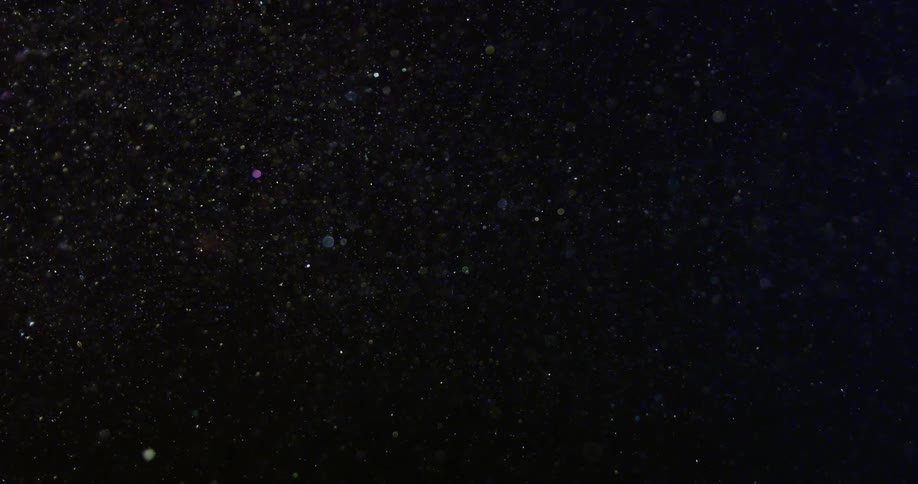 Starlike objects sparkle and twinkle as they move with fluid motion in the darkness