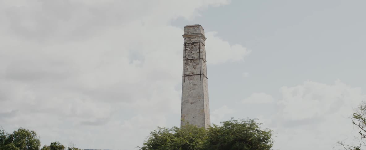 Trees surround a tower that reaches high in a cloudy sky