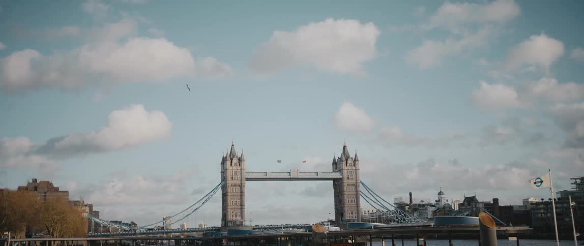 Birds fly over London Bridge