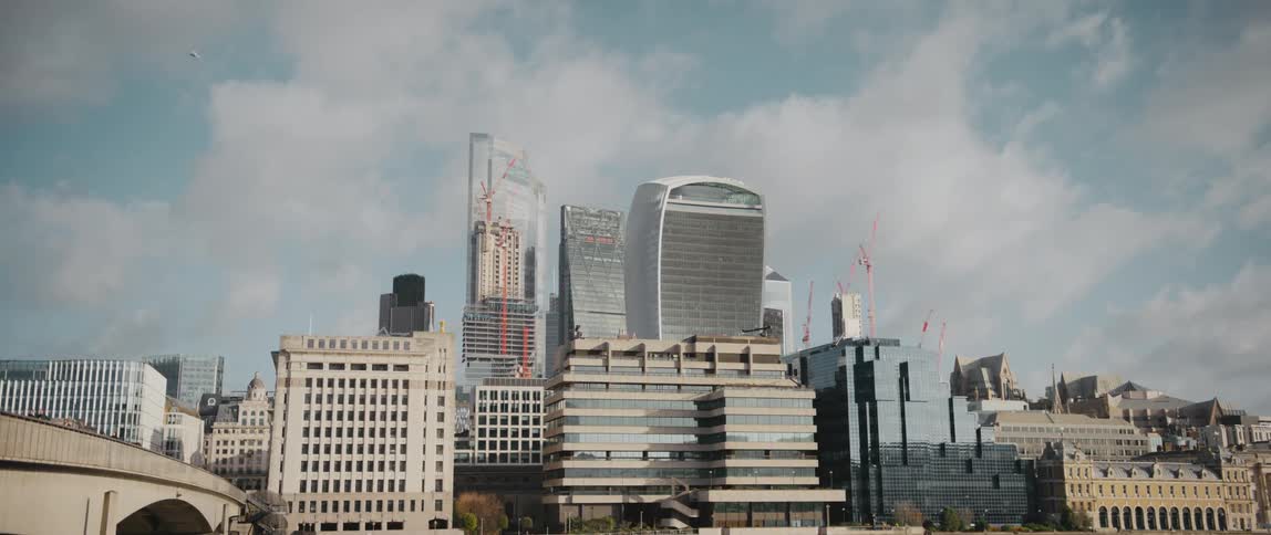 A large bird flies over downtown London buildings under construction