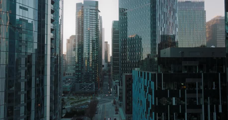 Flying between the gleaming and reflective glass of tall office and condo towers