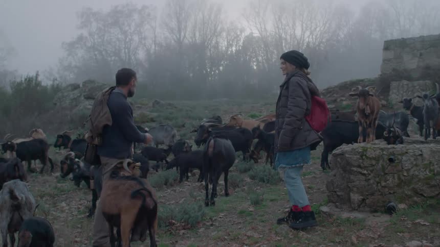 A man and woman play with goats grazing in a field