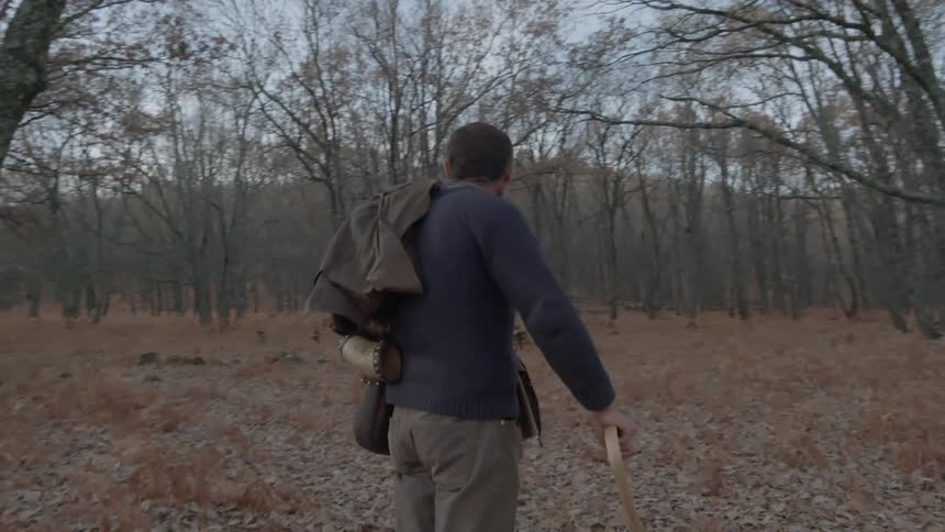 A man stops to watch a flock of ducks in a field by a forest