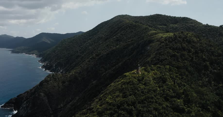 Poles stand above treetops as they lead toward tower on summit of forest covered mountain near shore