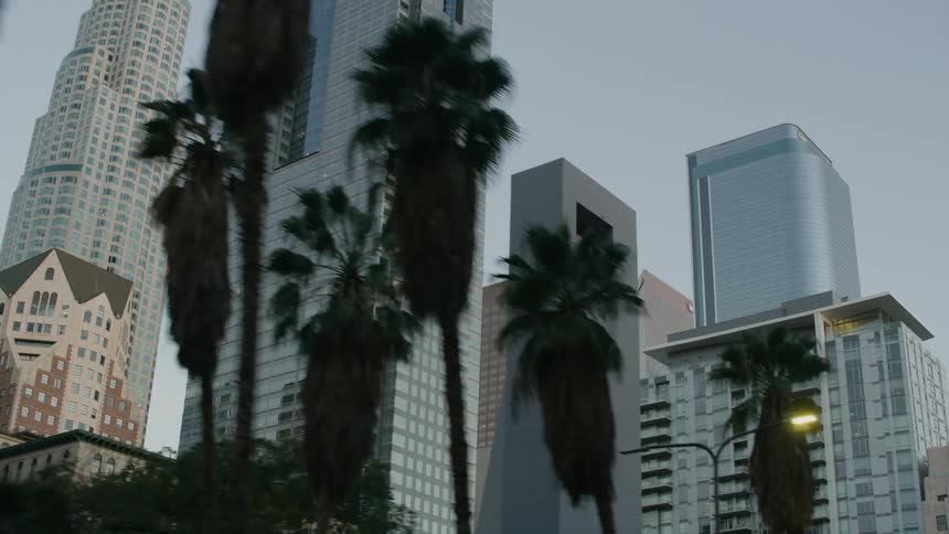 Tall city skyscrapers tower into the skyline
