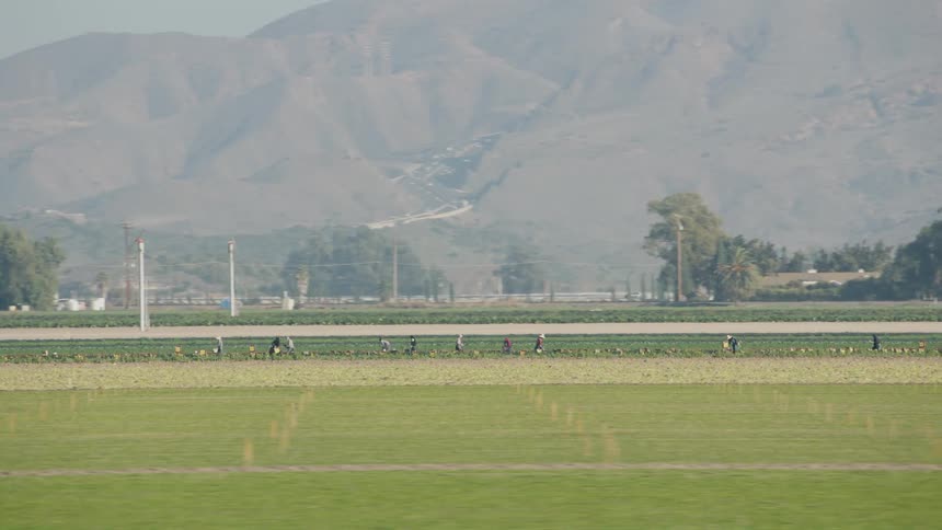 Farmers are working the fields in the distance