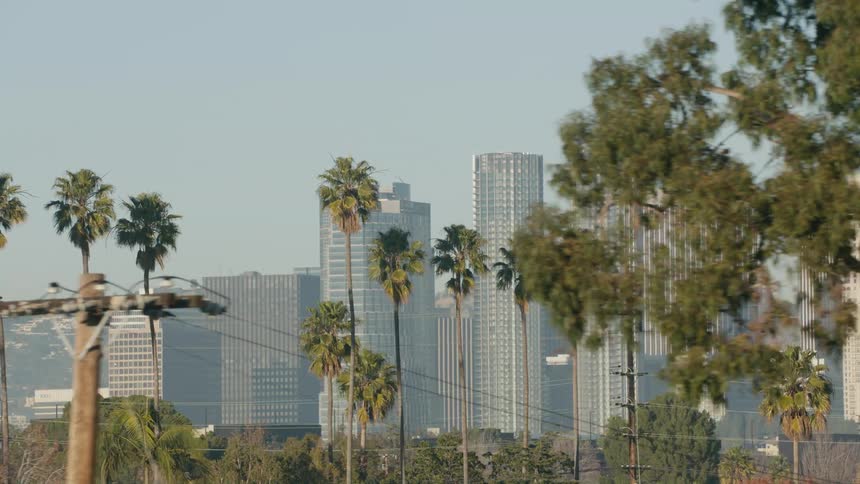 A view of a large city with tall buildings