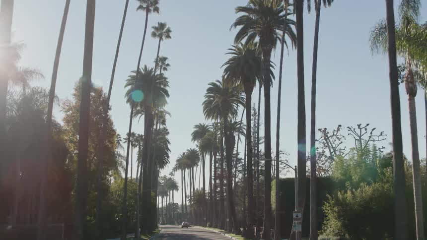 A car driving on a road lined by tall palm trees on a sunny day