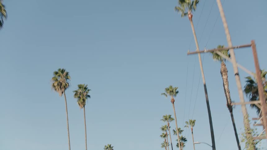 Vehicle drives on highway with palm trees