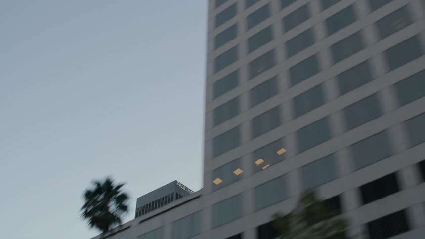 Trees stand near the skyscrapers and buildings in the city