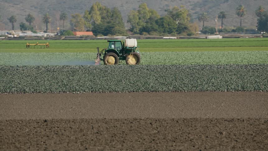 The tractor is working the field