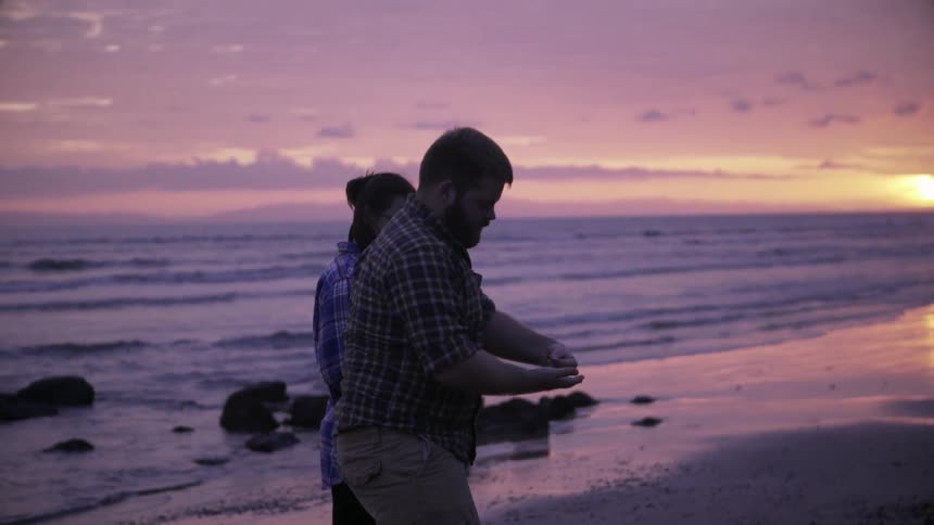 A couple pick up seashells on the beach