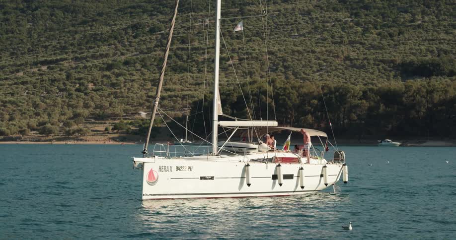 People ride sailboat running under power with the sail stowed as it moves past swimming birds and away from shore