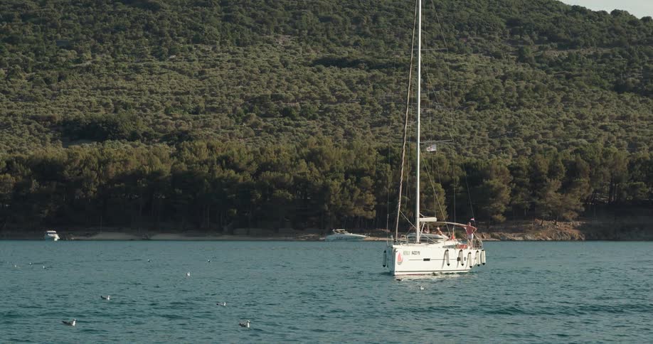 Sailboat cruises under power through waterbirds near forested mountain