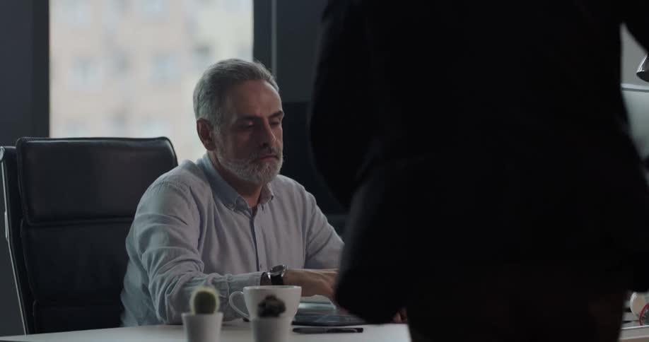 Boss ends a meeting with a worker on his office with a handshake