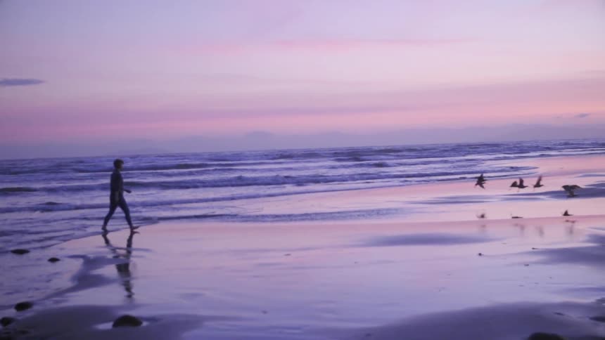 A person is walking on the beach at dawn as some birds fly away