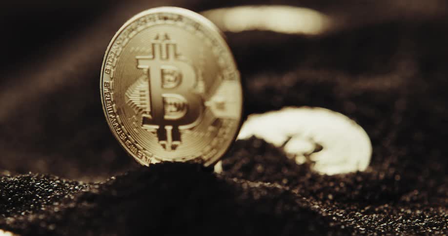 Several golden colored coins are buried in a dark granular powder and one is upright