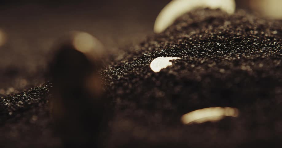 A number of coins are buried under black granules that are being blown away